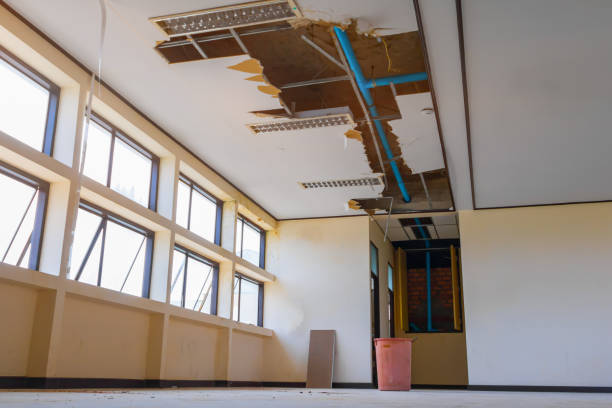 Best 24/7 water damage repair  in Grangeville, ID