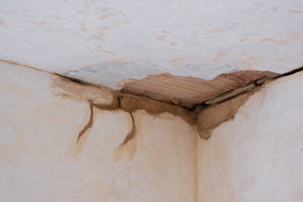 Carpet water damage restoration in Grangeville, ID