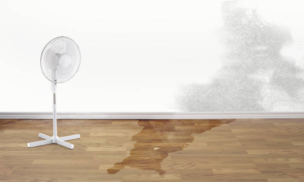  Grangeville, ID Water damage restoration Pros