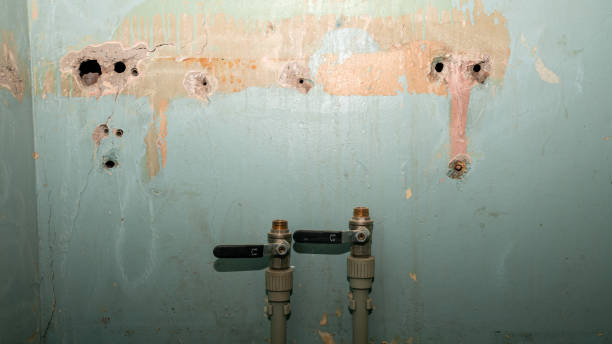 Best Carpet water damage restoration  in Grangeville, ID