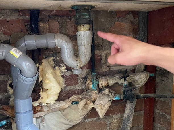 Best 24-hour water damage restoration  in Grangeville, ID
