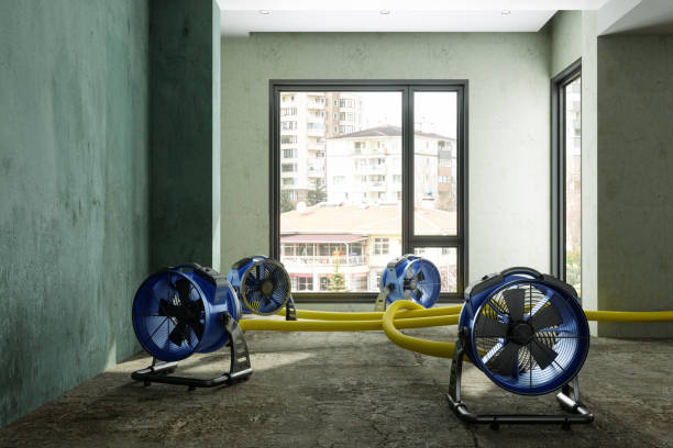 Best Water damage restoration near me  in Grangeville, ID