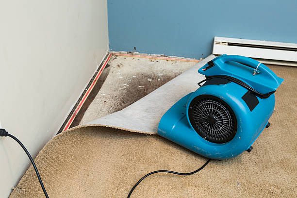 Best Commercial water damage restoration  in Grangeville, ID
